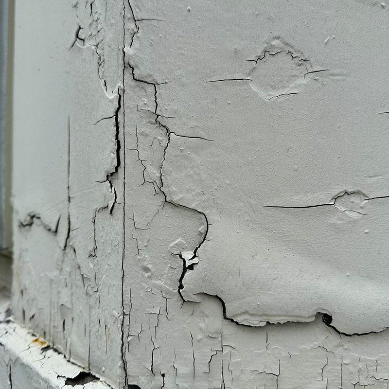 Featured image for “Lead Information”