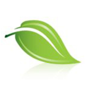 ECO logo